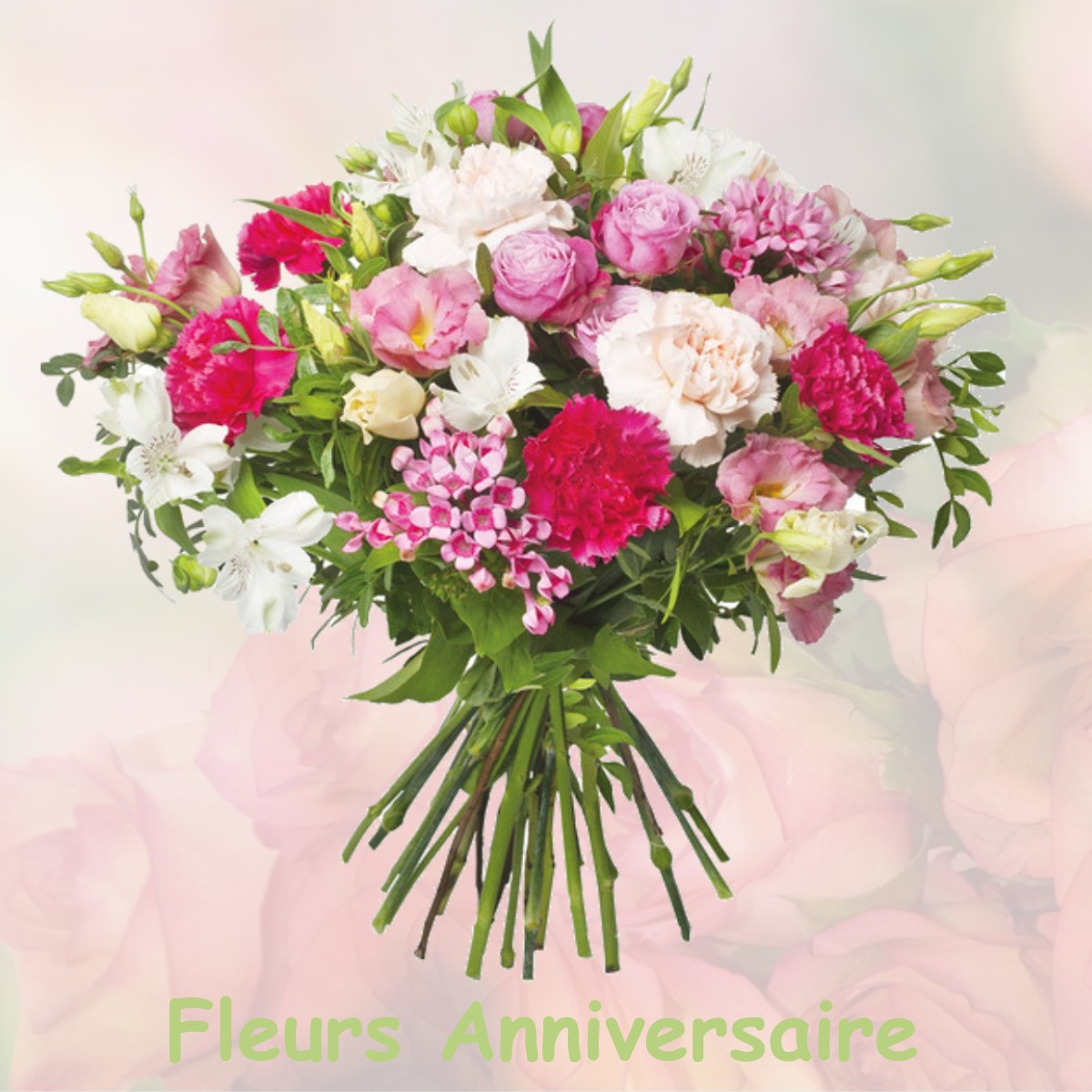 fleurs anniversaire FRAYSSINET